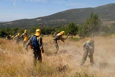 El dispositivo contra incendios forestales está en máxima alerta por el calor