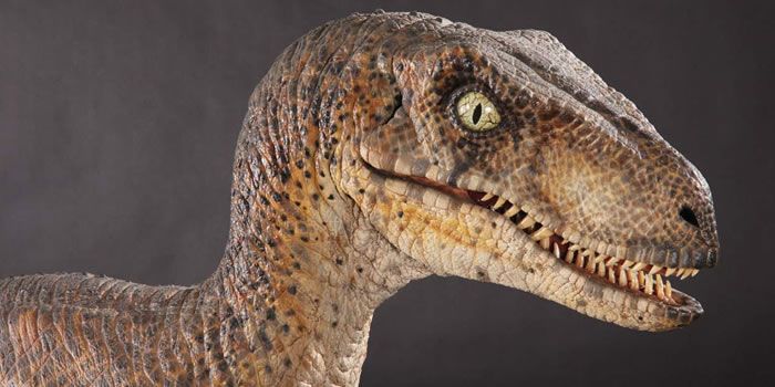 Dino Expo XXL, dinosaurios a tamaño real en La Casa de Campo | Espacio  Madrid
