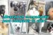 Jornadas de puertas abiertas del Centro de Protección Animal de Madrid