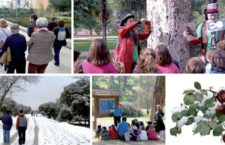 Hábitat Madrid, planes gratuitos para disfrutar del invierno en Madrid