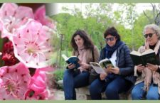 Jornada de puertas abiertas en el Jardín Botánico de Madrid por el Día del Libro 2019