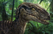 Caminando entre Dinosaurios y Dinopétrea, dos interesantes eventos para amantes de los dinosaurios