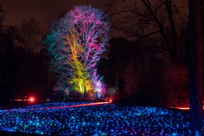 fecha Premedicación jardín Luces de Navidad en el Jardín Botánico de Madrid y un mágico paseo nocturno  | Espacio Madrid